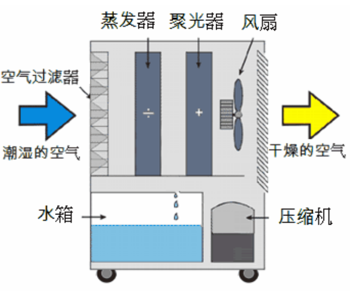 转轮好色先生免费APP启动不正常的原因