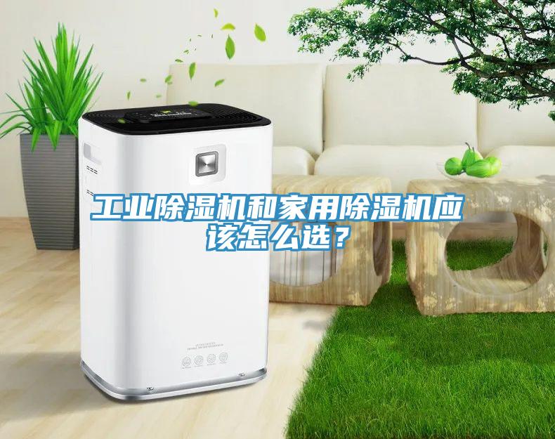 工业好色先生免费APP和家用好色先生免费APP应该怎么选？