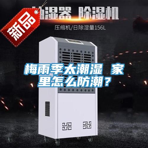 梅雨季太潮湿 家里怎么防潮？