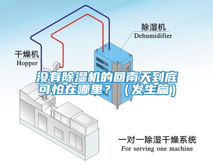 没有好色先生免费APP的回南天到底可怕在哪里？（发生篇）