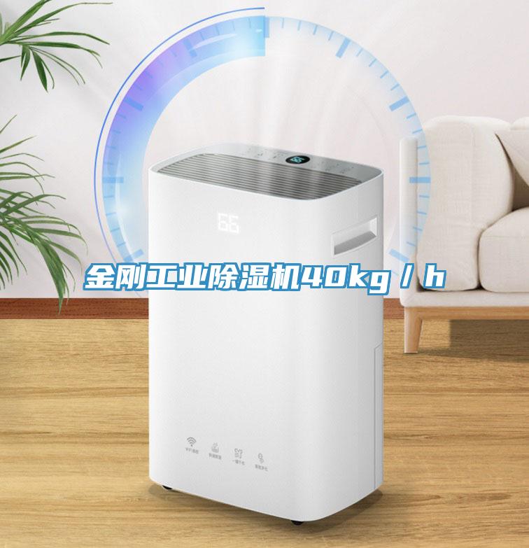 金刚工业好色先生免费APP40kg／h