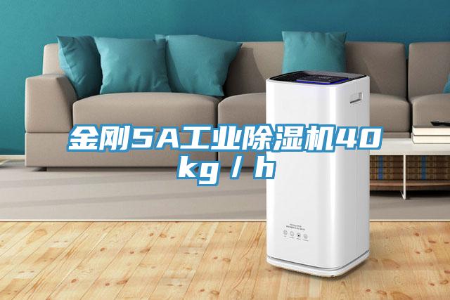 金刚5A工业好色先生免费APP40kg／h