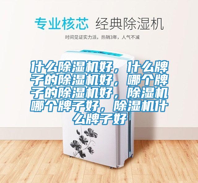 什么好色先生免费APP好，什么牌子的好色先生免费APP好，哪个牌子的好色先生免费APP好，好色先生免费APP哪个牌子好，好色先生免费APP什么牌子好