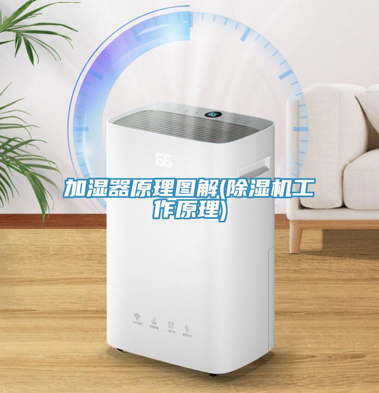 加湿器原理图解(好色先生免费APP工作原理)