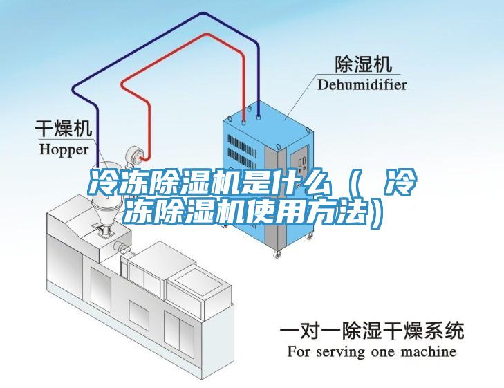 冷冻好色先生免费APP是什么（ 冷冻好色先生免费APP使用方法）