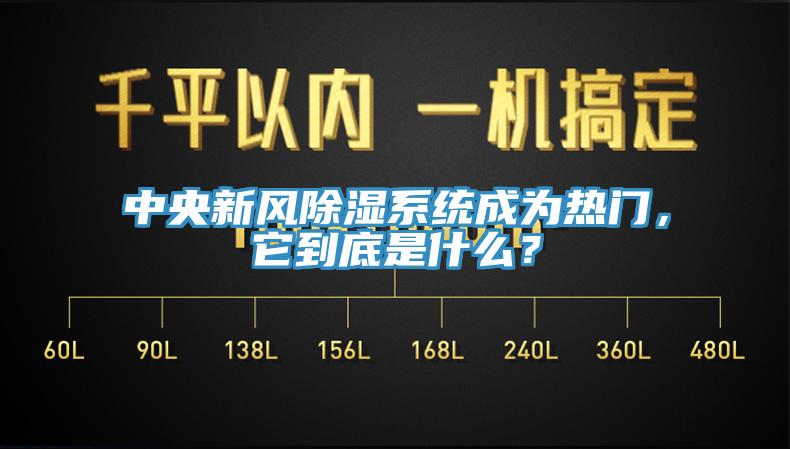 中央新风除湿系统成为热门，它到底是什么？