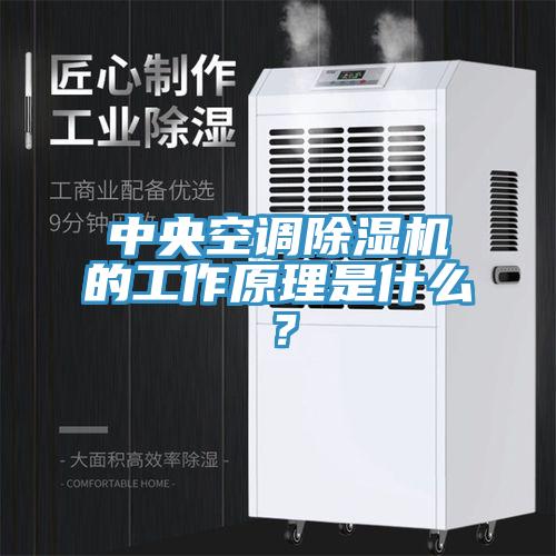 中央空调好色先生免费APP的工作原理是什么？