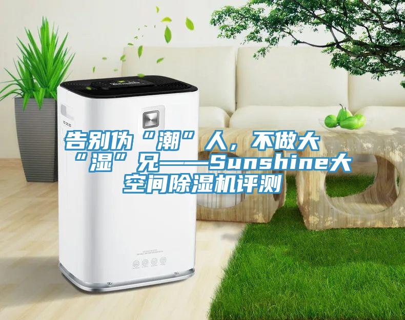 告别伪“潮”人，不做大“湿”兄——Sunshine大空间好色先生免费APP评测